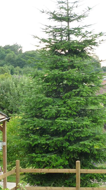 Hopewell Self-Catering Apartment Gravesend Bagian luar foto