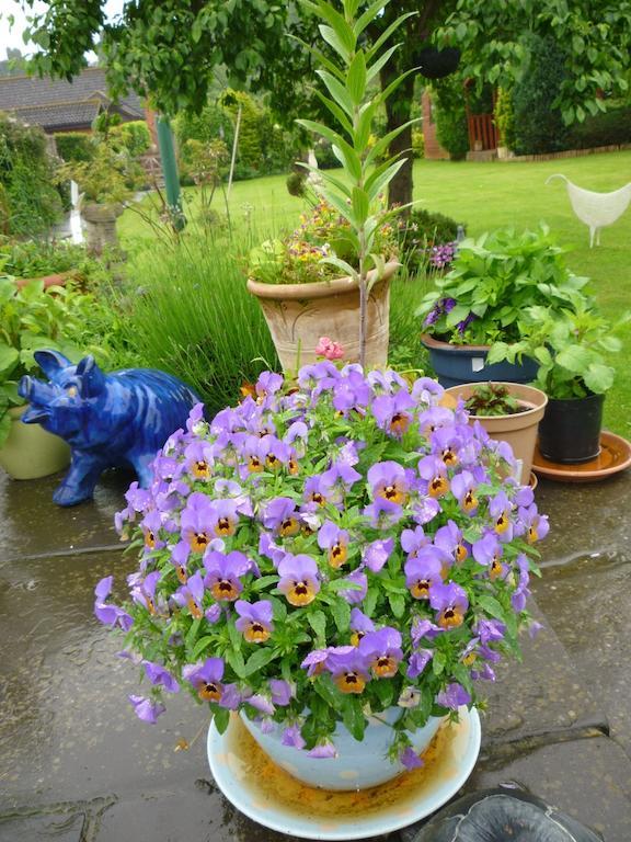 Hopewell Self-Catering Apartment Gravesend Bagian luar foto